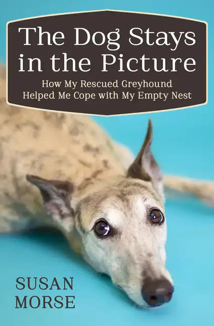 The Dog Stays in the Picture: How My Rescued Greyhound Helped Me Cope with My Empty Nest - Paperback