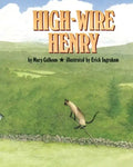High-Wire Henry - Paperback