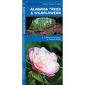 Alabama Trees & Wildflowers: A Folding Pocket Guide to Familiar Plants - Paperback