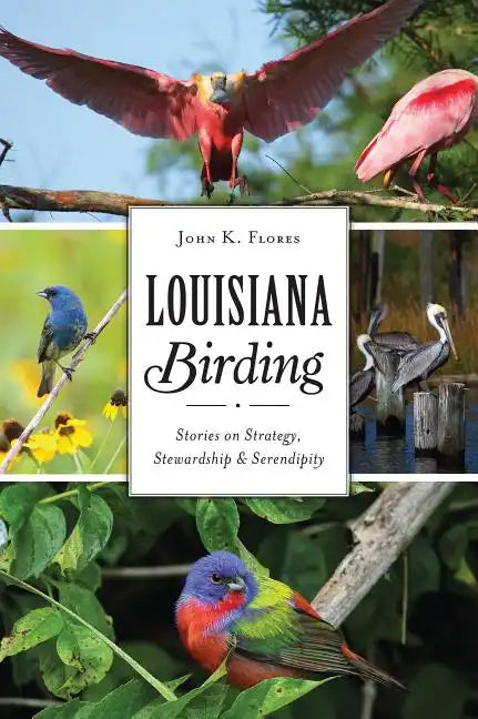 Louisiana Birding: Stories on Strategy, Stewardship and Serendipity - Paperback