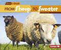From Sheep to Sweater - Paperback