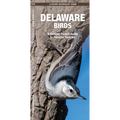 Delaware Birds: A Folding Pocket Guide to Familiar Species - Paperback