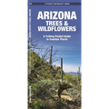 Arizona Trees & Wildflowers: A Folding Pocket Guide to Familiar Plants - Paperback