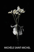Grief Is an Origami Swan: An Art Book About Grief - Paperback