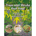 Trees and Shrubs That Heal: Reconnecting with the Medicinal Forest - Paperback