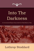 Into the Darkness - Paperback