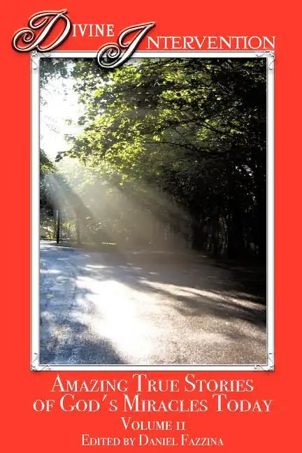 Divine Intervention - Paperback