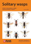 Solitary wasps - Paperback