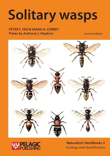 Solitary wasps - Paperback