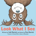 Look What I See - Board Book