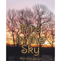 Fire in the Sky - Paperback