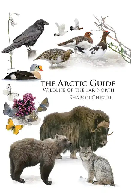 The Arctic Guide: Wildlife of the Far North - Paperback
