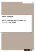 FinTech Mergers And Аcquisitions. Specifics And Issues - Paperback