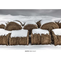 Winter - Hardcover