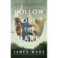 Hollow Out the Dark - Hardcover