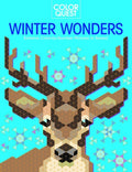 Color Quest: Winter Wonders: Extreme Color-By-Number Pictures to Reveal - Paperback