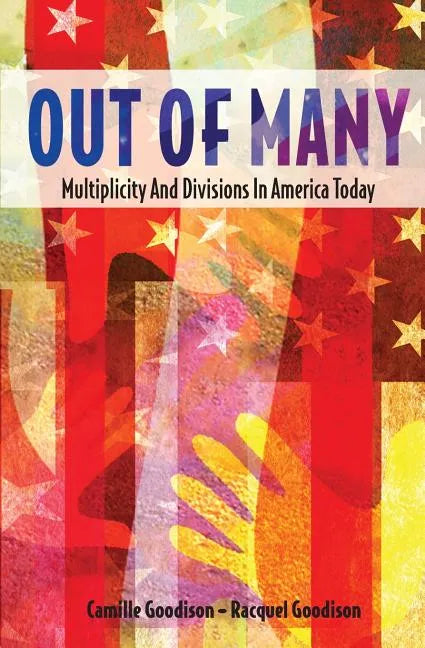 Out of Many: Multiplicity and Divisions in America Today - Paperback