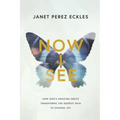 Now I See: How God's Amazing Grace Transforms the Deepest Pain to Shining Joy - Paperback