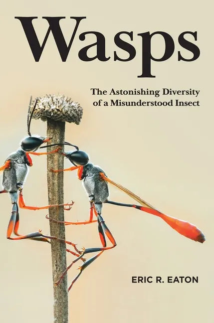 Wasps: The Astonishing Diversity of a Misunderstood Insect - Hardcover