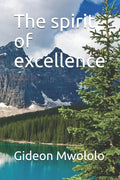 The spirit of excellence - Paperback