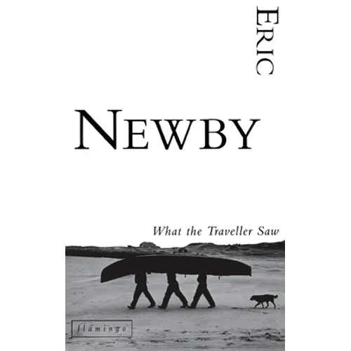 What the Traveller Saw - Paperback