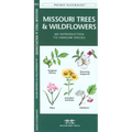 Oklahoma Trees & Wildflowers: An Introduction to Familiar Species - Paperback