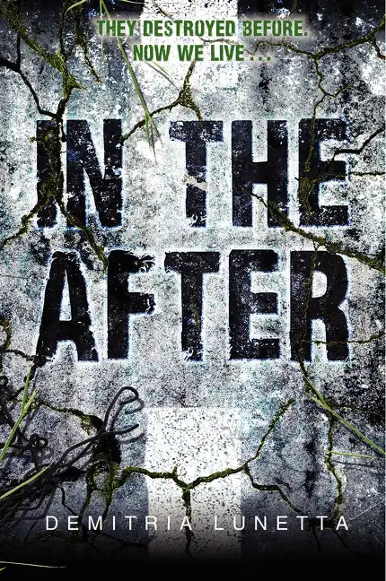 In the After - Paperback