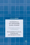 Economics of Offshore Wind Power: Challenges and Policy Considerations - Hardcover