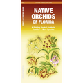 Native Orchids of Florida - Paperback
