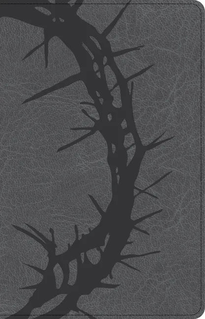 CSB Large Print Personal Size Reference Bible, Charcoal Leathertouch, Indexed - Imitation Leather