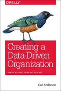 Creating a Data-Driven Organization: Practical Advice from the Trenches - Paperback