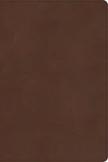 CSB Rainbow Study Bible, Brown Leathertouch - Imitation Leather