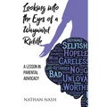 Looking Into the Eyes of a Wayward Riddle: A Lesson in Parental Advocacy - Paperback