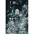 Solum Journal Volume IV - Paperback