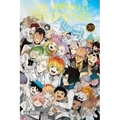 The Promised Neverland, Vol. 20 - Paperback