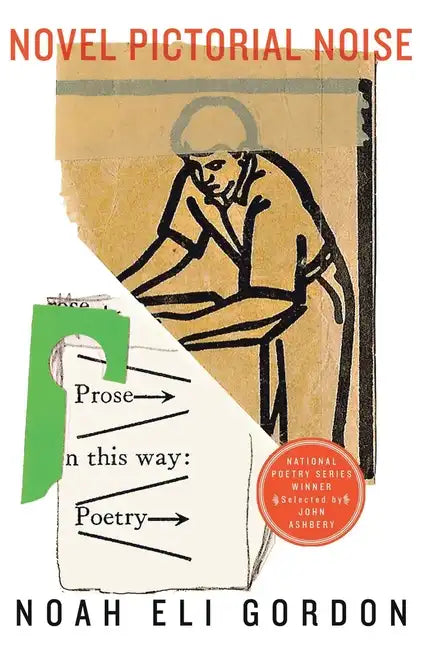 Novel Pictorial Noise - Paperback