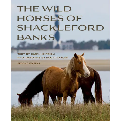 Wild Horses of Shackleford Banks - Paperback