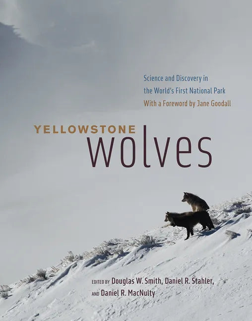 Yellowstone Wolves: Science and Discovery in the World's First National Park - Hardcover