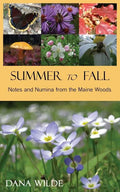 Summer to Fall - Paperback