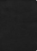 CSB Apologetics Study Bible, Black Leathertouch - Imitation Leather