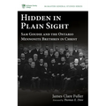 Hidden in Plain Sight - Paperback