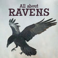 All about Ravens: English Edition - Paperback