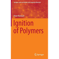 Ignition of Polymers - Hardcover