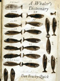 A Whaler's Dictionary - Paperback