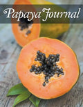 Papaya Journal - Paperback