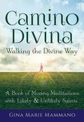 Camino Divina--Walking the Divine Way: A Book of Moving Meditations with Likely and Unlikely Saints - Paperback