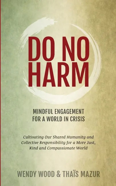 Do No Harm: Mindful Engagement for a World in Crisis - Paperback