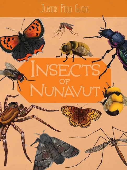 Junior Field Guide: Insects of Nunavut: English Edition - Paperback