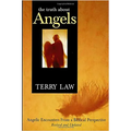 The Truth about Angels: Angelic Encounters from a Biblical Perspective - Paperback