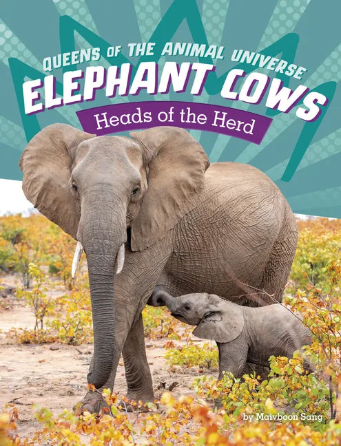 Elephant Cows: Heads of the Herd - Paperback